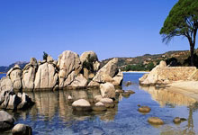 九游网站入口官网 -乐冠国际网葡超波尔图全球赞助商